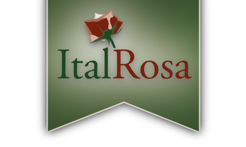 ItalRosa Hilversum - Taaltrainingen Italiaans, Vertalingen & Tolkopdrachten